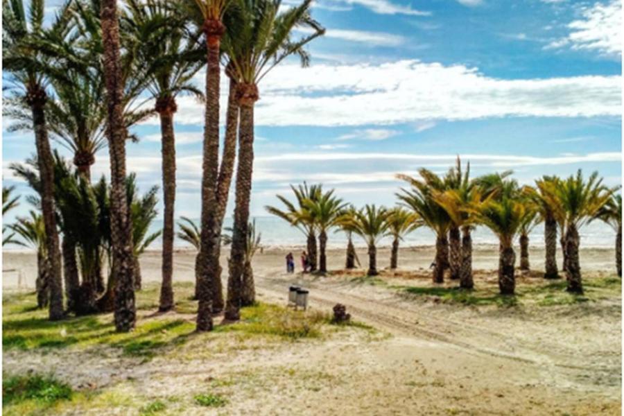 Apartamentoen La Playa, 200 Mts De La Playa Nuevo Santa Pola Dış mekan fotoğraf