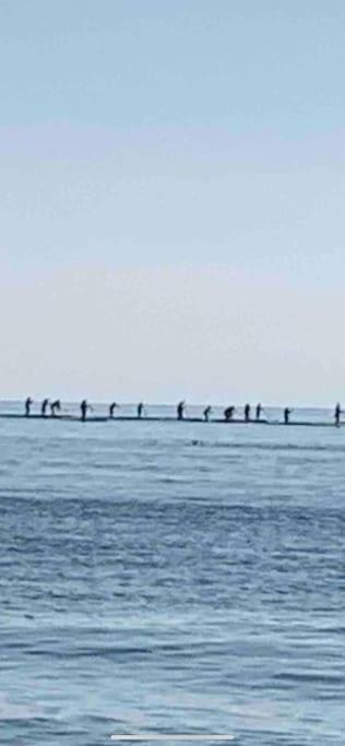 Apartamentoen La Playa, 200 Mts De La Playa Nuevo Santa Pola Dış mekan fotoğraf